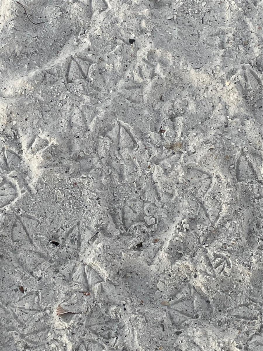 2nd image of 3710 Gulf Of Mexico Dr, LONGBOAT KEY, FL 34228