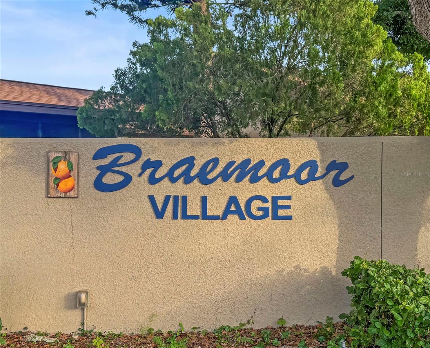 40th image of 1668 Hamilton Ct #2061, Dunedin, FL 34698 | MLS# TB8511717