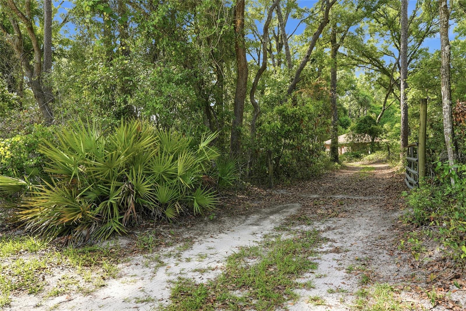 Homes for sale in Chiefland, FL | 9291 Nw 127Th Pl, Chiefland, FL 32626 | MLS# OM725308