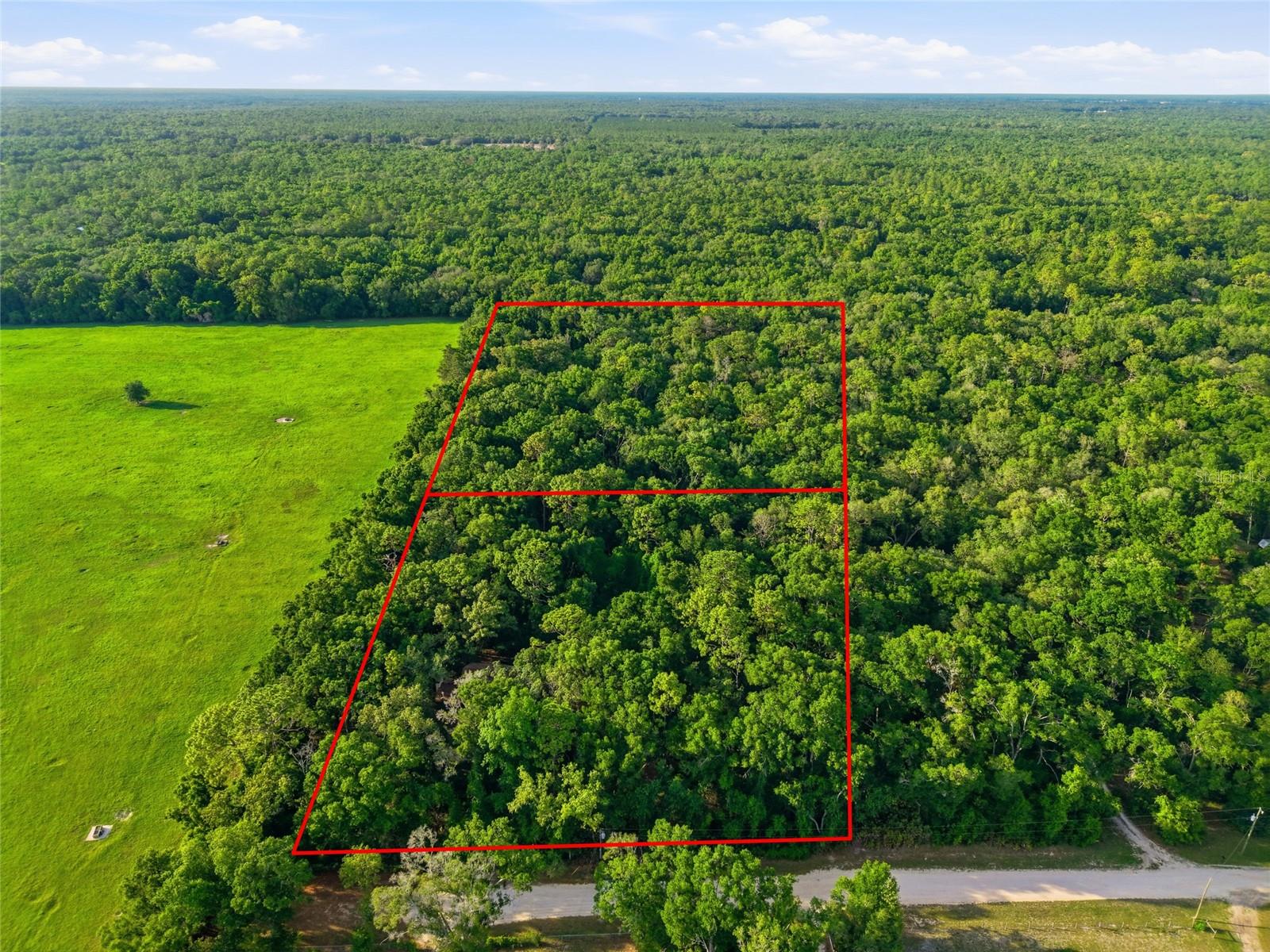 Homes for sale in Chiefland, FL | 9291 Nw 127Th Pl, Chiefland, FL 32626 | MLS# OM725308