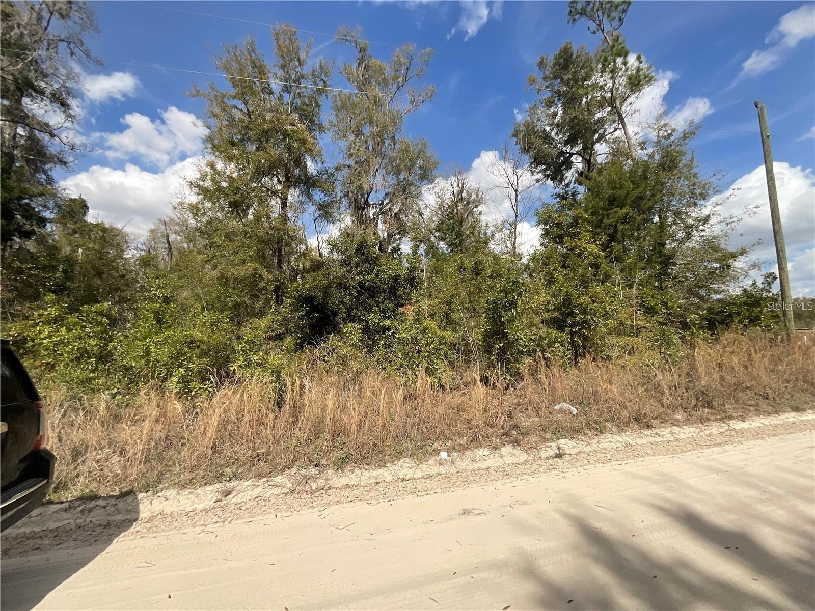 Homes for sale in Fort White, FL | Sw Old Spanish Rd, Fort White, FL 32038 | MLS# TB8513407