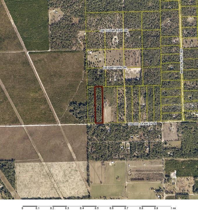 Homes for sale in Fort White, FL | Sw Old Spanish Rd, Fort White, FL 32038 | MLS# TB8513407