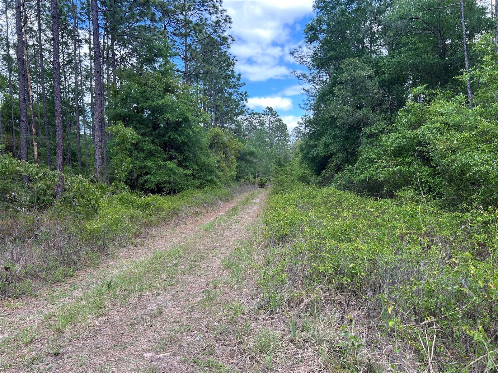 4th image of Tbd Sw 159Th Ave, Ocala, FL 34481 | MLS# OM725596