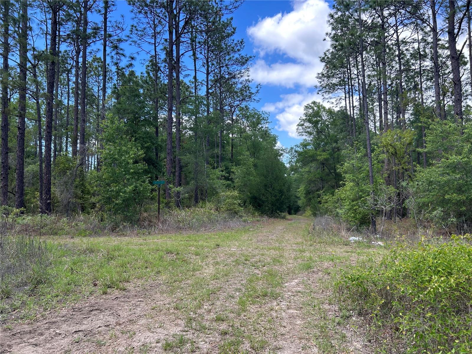 3rd image of Tbd Sw 159Th Ave, Ocala, FL 34481 | MLS# OM725596
