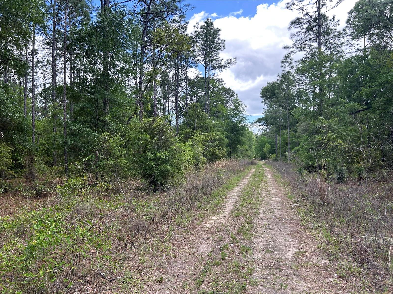 2nd image of Tbd Sw 159th Ave, Ocala, FL 34481 | MLS# OM725596
