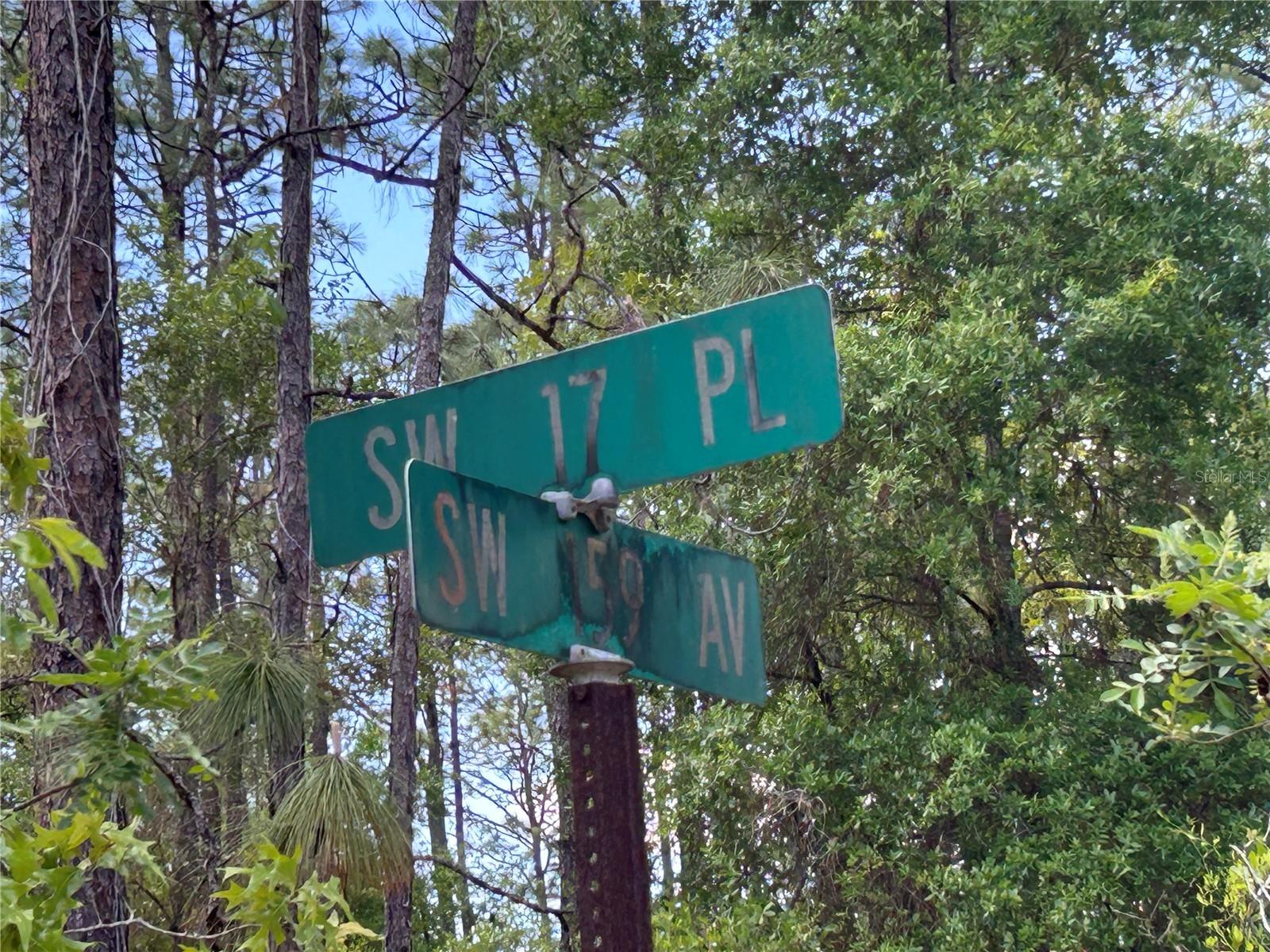 6th image of Tbd Sw 159th Ave, Ocala, FL 34481 | MLS# OM725596