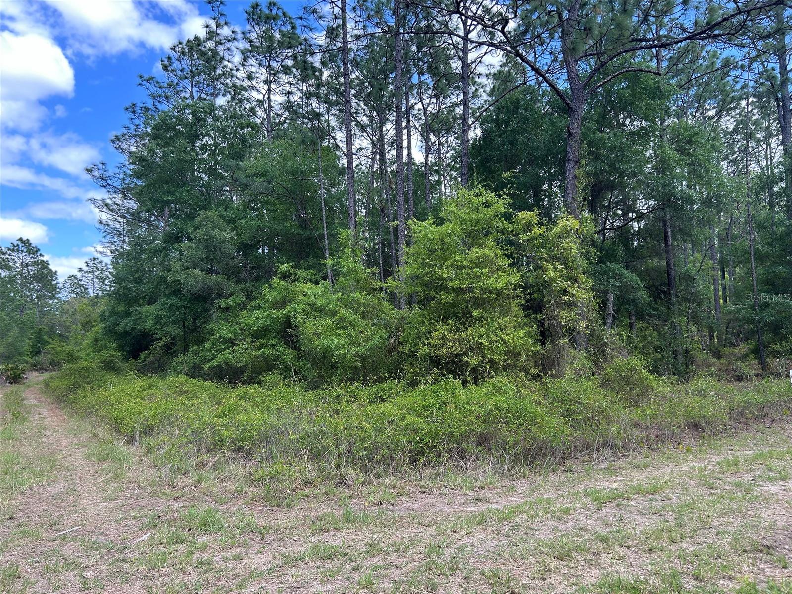 1st image of Tbd Sw 159th Ave, Ocala, FL 34481 | MLS# OM725596