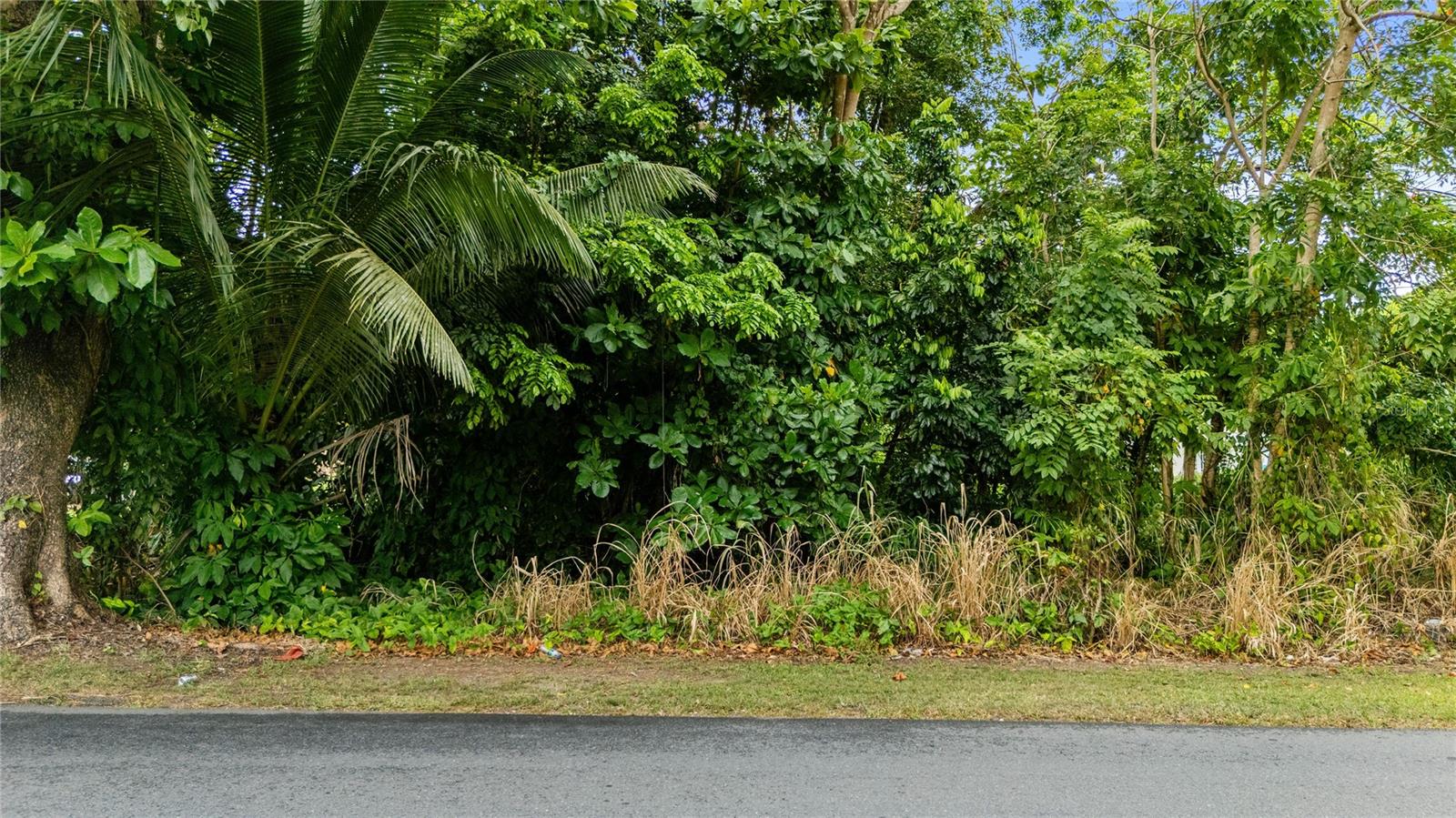 Homes for sale in Manati, PR | 6685 Estatal Rd, Manati, PR 00674 | MLS# PR9121699