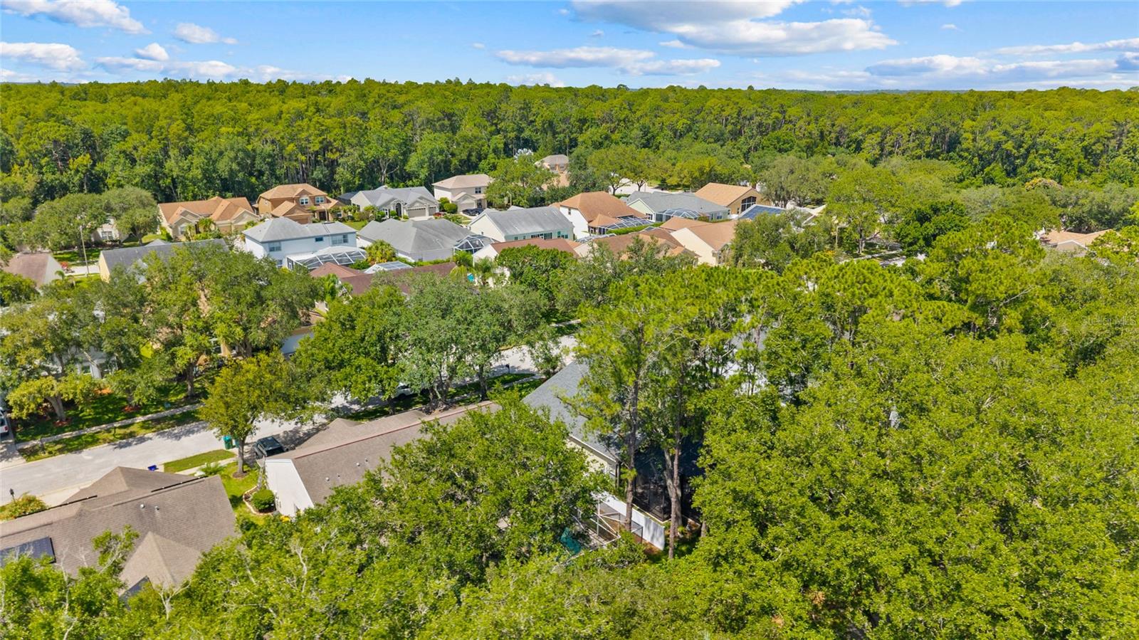 46th image of 4287 Tremblay Wy, Palm Harbor, FL 34685 | MLS# TB8513729