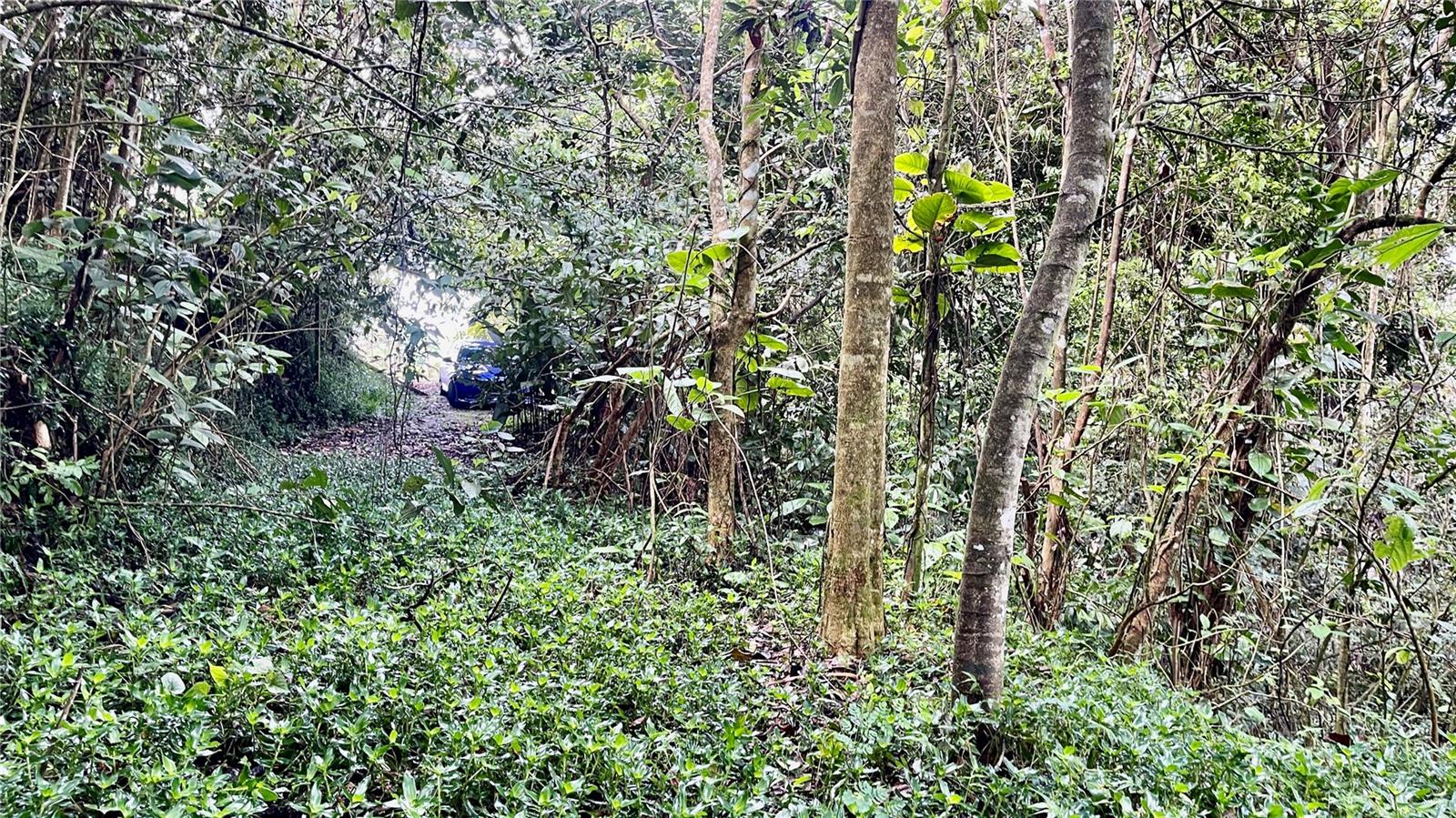 Homes for sale in Aibonito, PR | 718 Bo Pasto Rd, Aibonito, PR 00705 | MLS# PR9121719