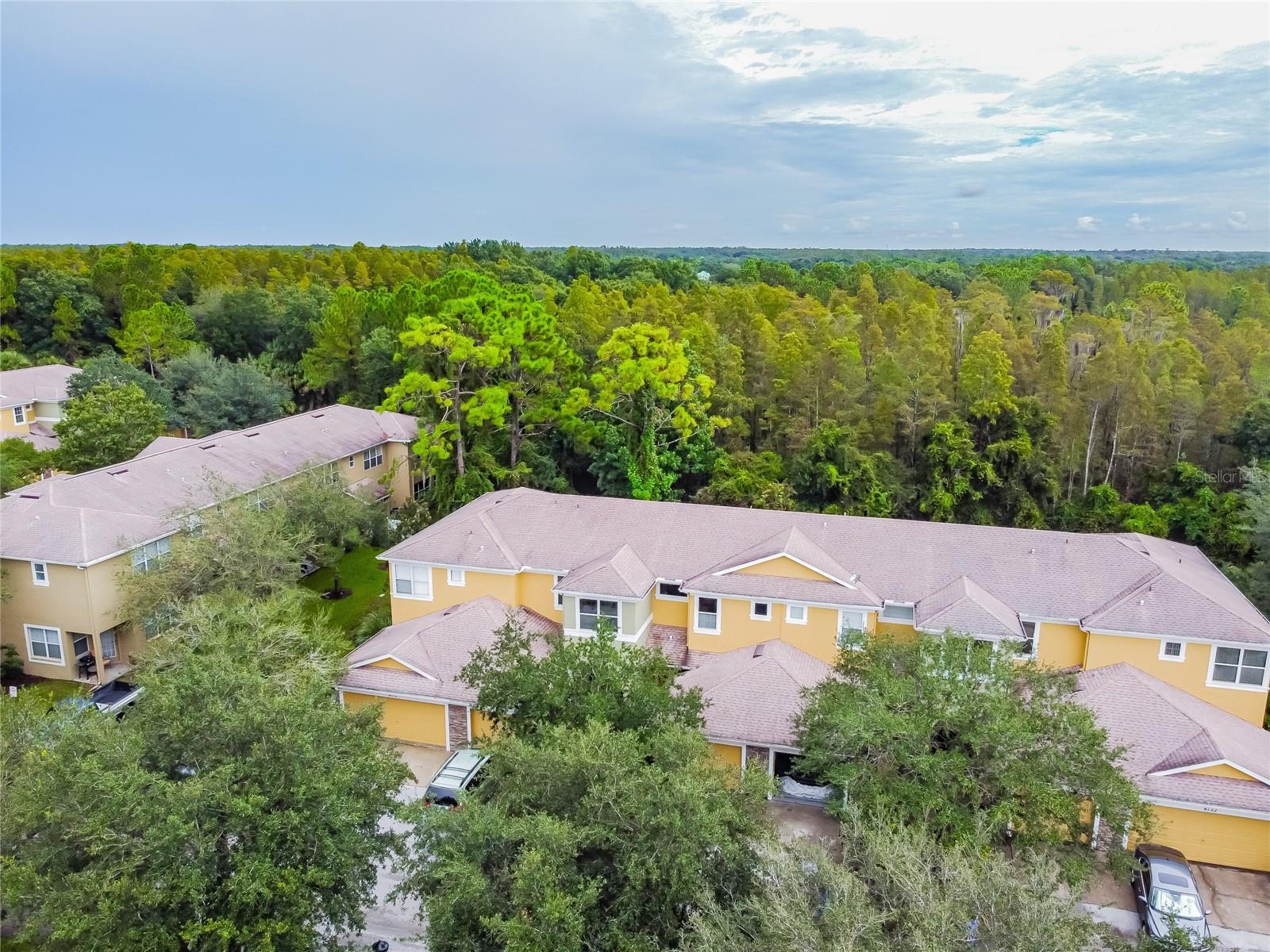 Homes for sale in Tampa, FL | 8116 Stone Path Wy, Tampa, FL 33647 | MLS# TB8514101