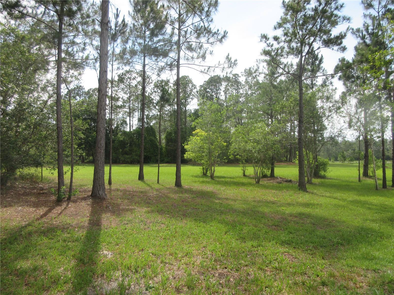 1st image of 0 Se 10th St, Silver Springs, FL 34488 | MLS# OM725798