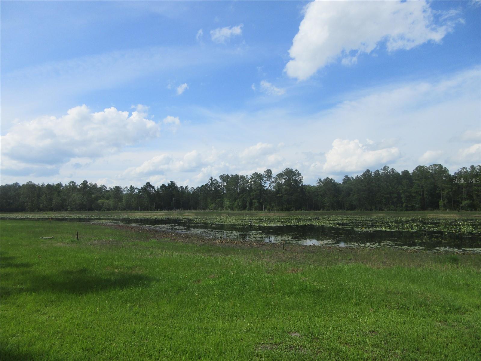 3rd image of 0 Se 10Th St, Silver Springs, FL 34488 | MLS# OM725798