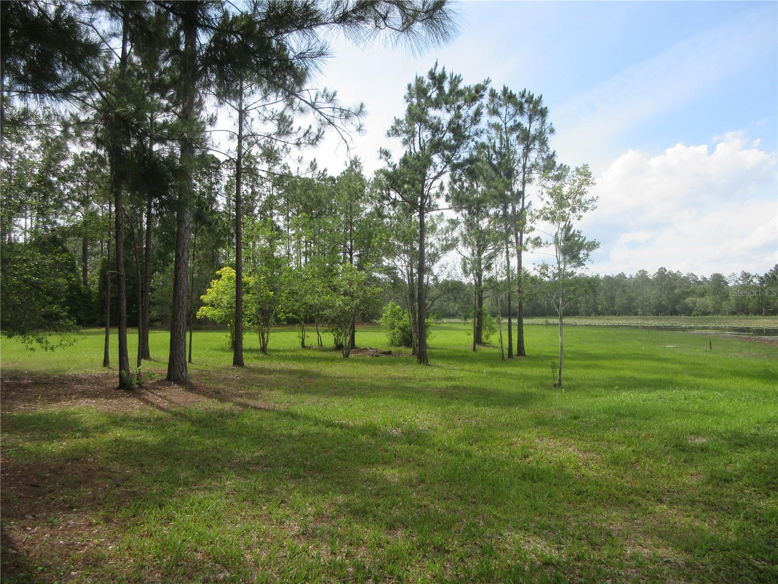 4th image of 0 Se 10Th St, Silver Springs, FL 34488 | MLS# OM725798