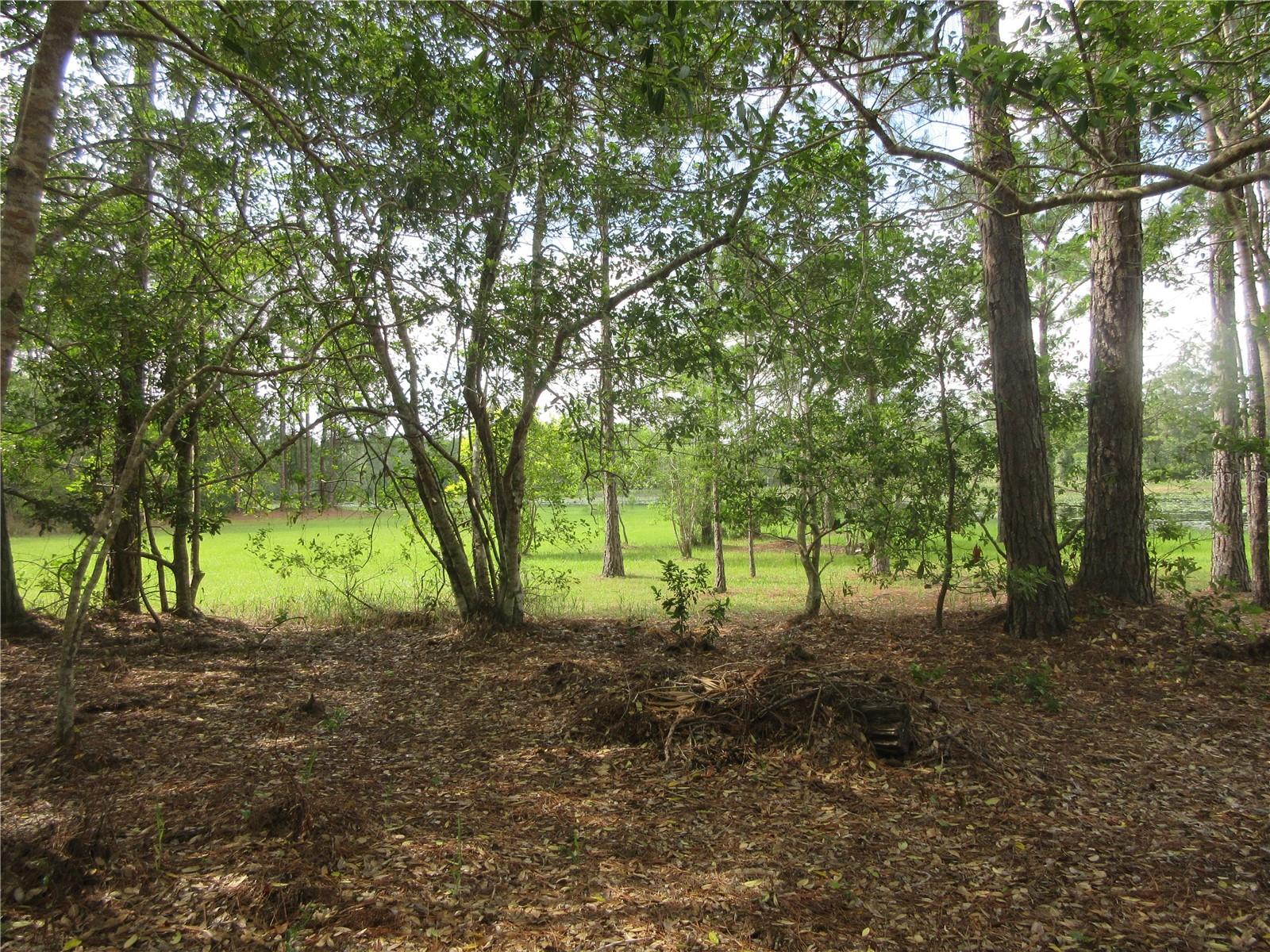5th image of 0 Se 10Th St, Silver Springs, FL 34488 | MLS# OM725798