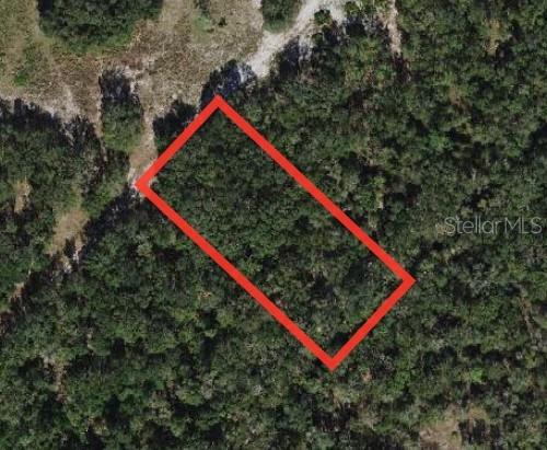 Homes for sale in Fort Meade, FL | ,, Fort Meade, FL 33841 | MLS# O6413033