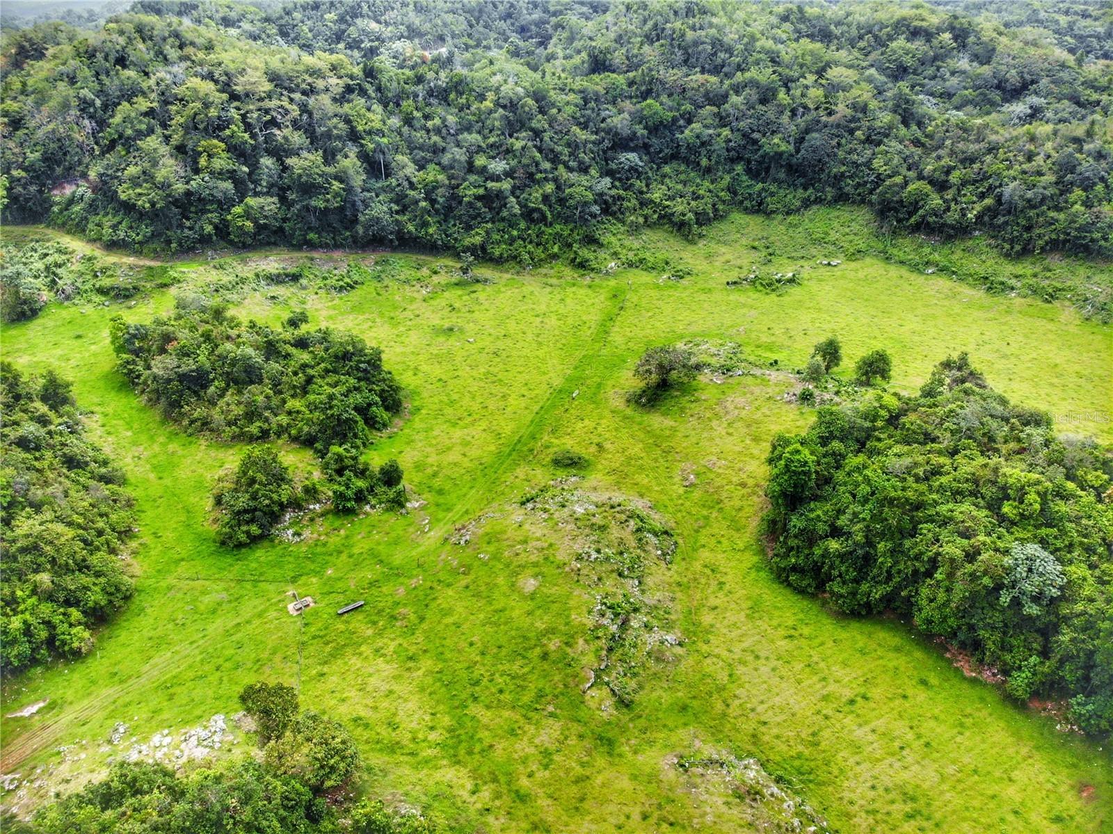 Homes for sale in Arecibo, PR | Carr 626 Bo Calichoza, Arecibo, PR 00613 | MLS# PR9121823