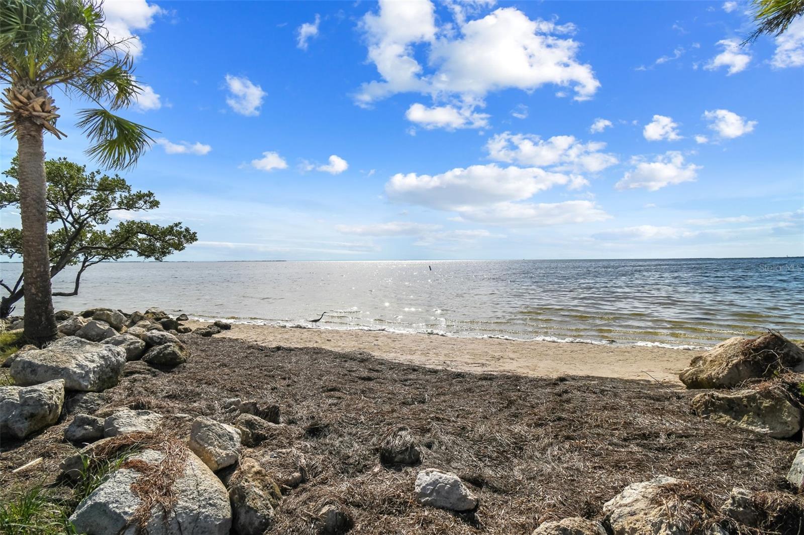 48th image of 1425 Poinsettia Ave, Tarpon Springs, FL 34689 | MLS# TB8517370