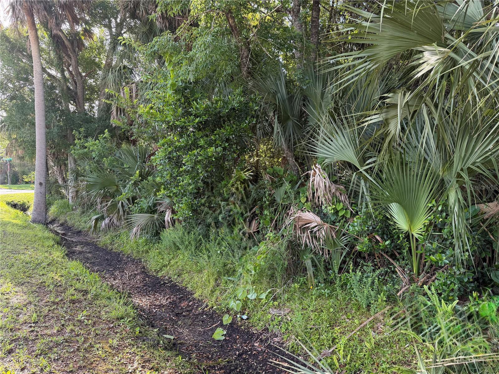 3rd image of 1400 Enterprise Ave, New Smyrna Beach, FL 32168 | MLS# V4949571