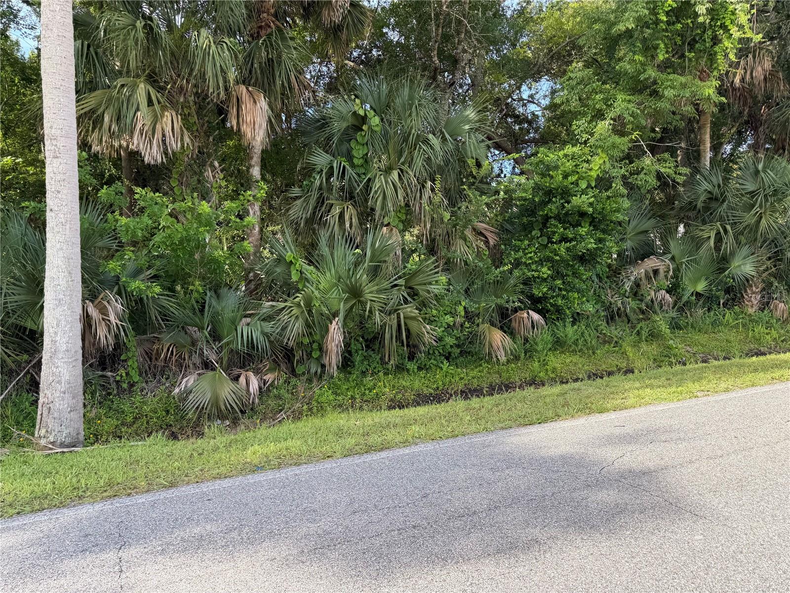 2nd image of 1400 Enterprise Ave, New Smyrna Beach, FL 32168 | MLS# V4949571