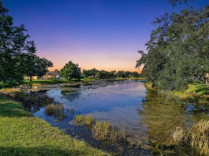 4th image of 14224 Gnatcatcher Ter, Bradenton, FL 34202 | MLS# A4697253