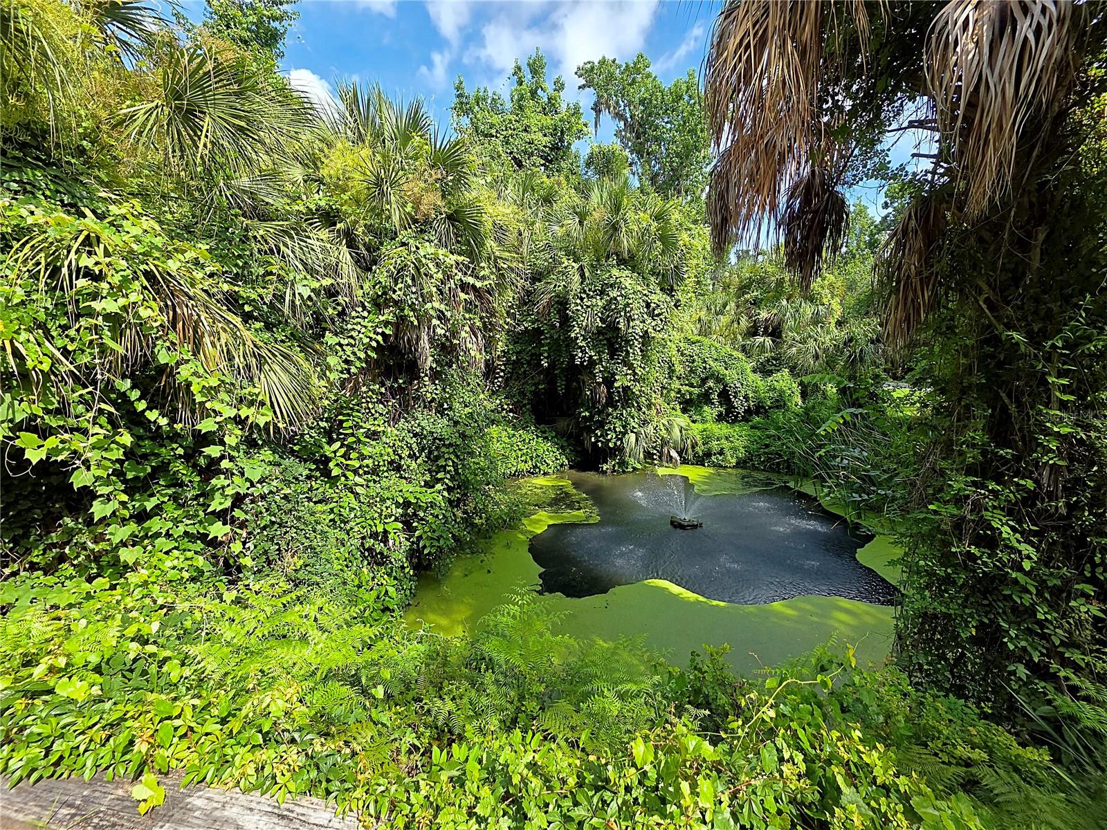 11th image of 4876 Rambling River Rd, Brandon, FL 33511 | MLS# TB8520753