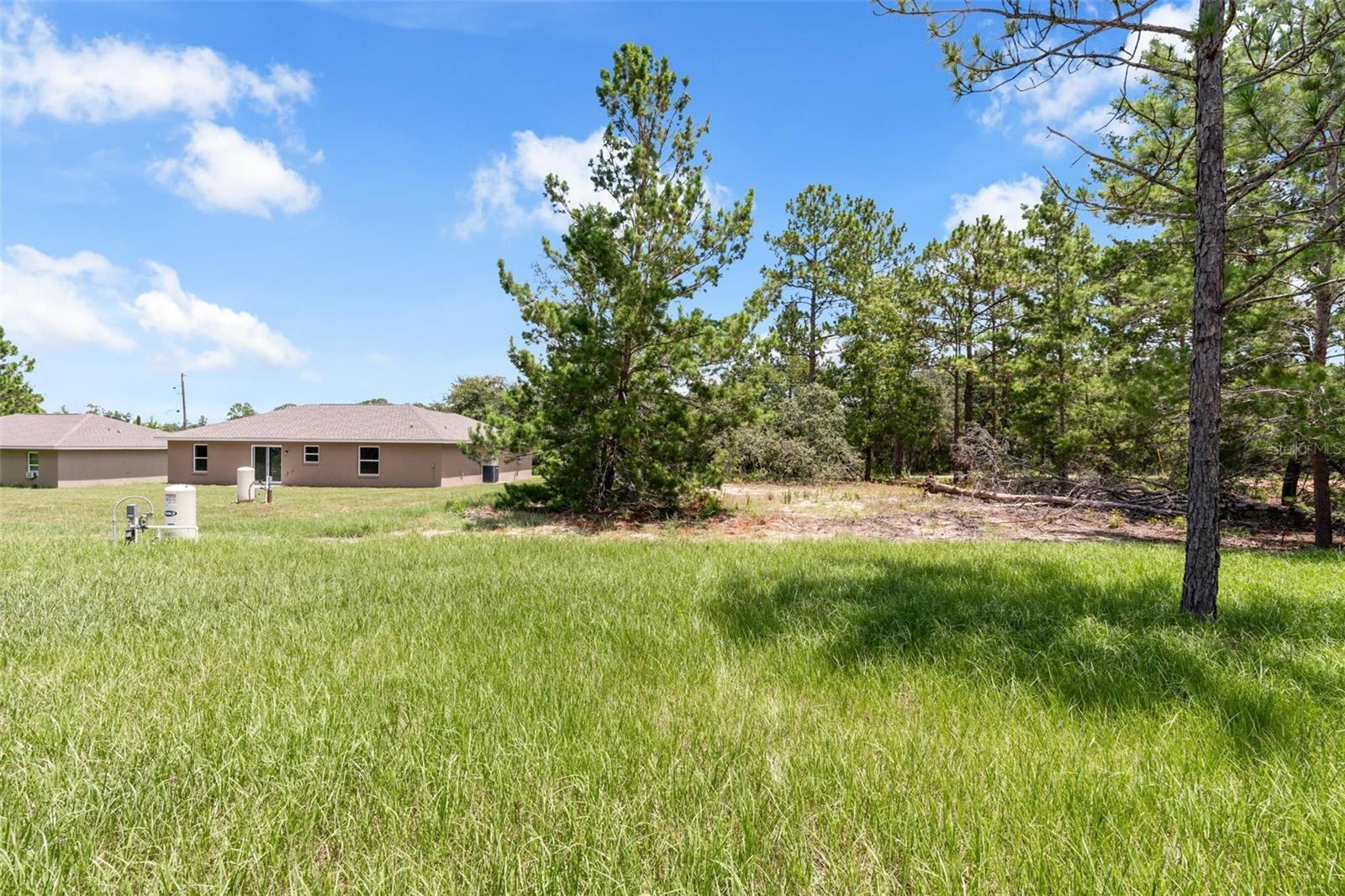 38th image of 17 Malauka Run Dr, Ocklawaha, FL 32179 | MLS# O6418207