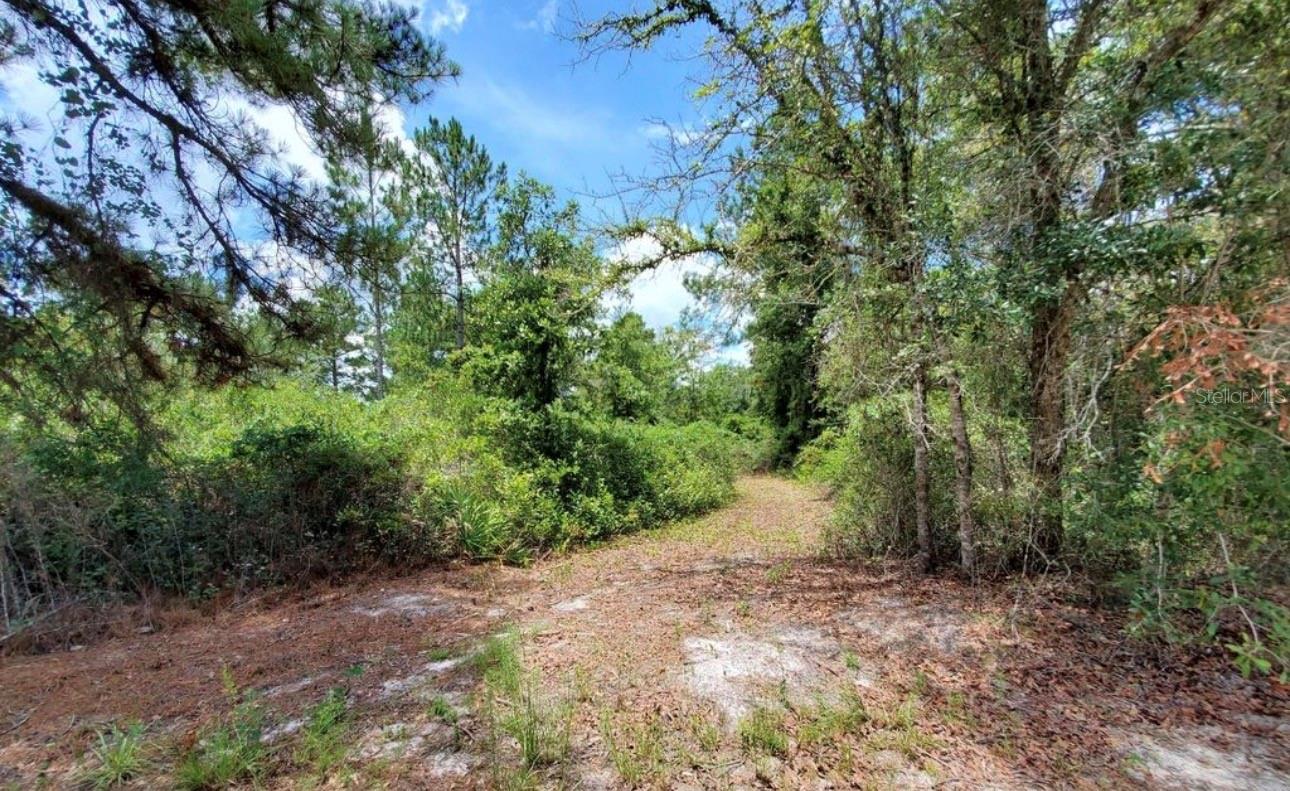 Homes for sale in Perry, FL | Tbd Rock Island Road, Perry, FL 32347 | MLS# GC541409