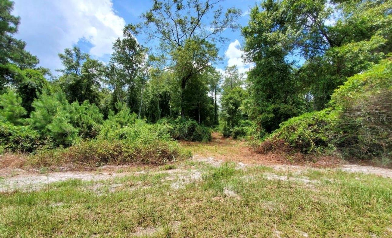 Homes for sale in Perry, FL | Tbd Rock Island Road, Perry, FL 32347 | MLS# GC541409
