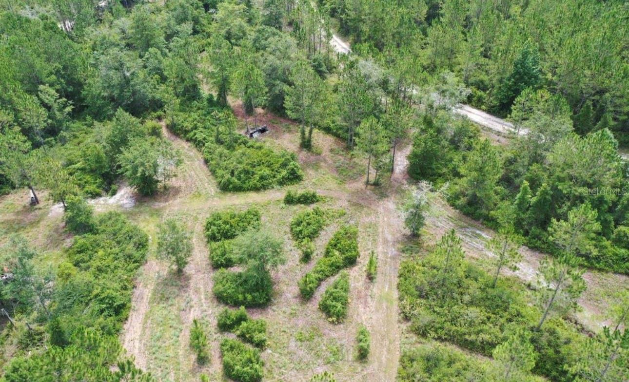 Homes for sale in Perry, FL | Tbd Rock Island Road, Perry, FL 32347 | MLS# GC541409