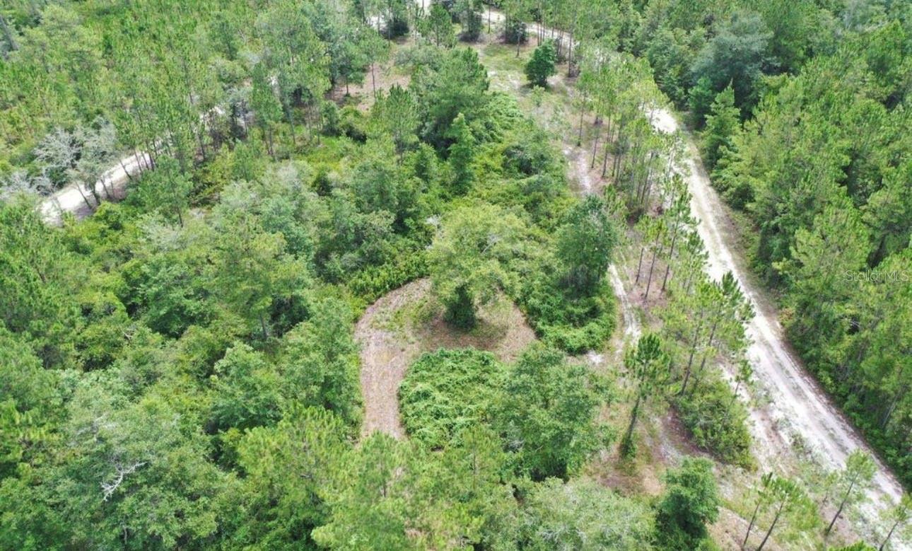 Homes for sale in Perry, FL | Tbd Rock Island Road, Perry, FL 32347 | MLS# GC541409