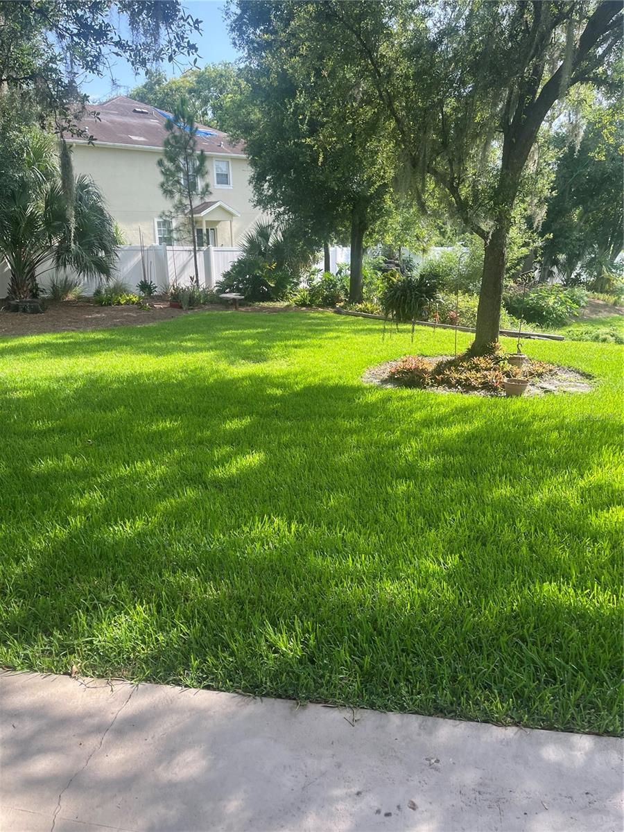 19th image of 8509 Alexandra Arbor Ln, Tampa, FL 33637 | MLS# TB8524413