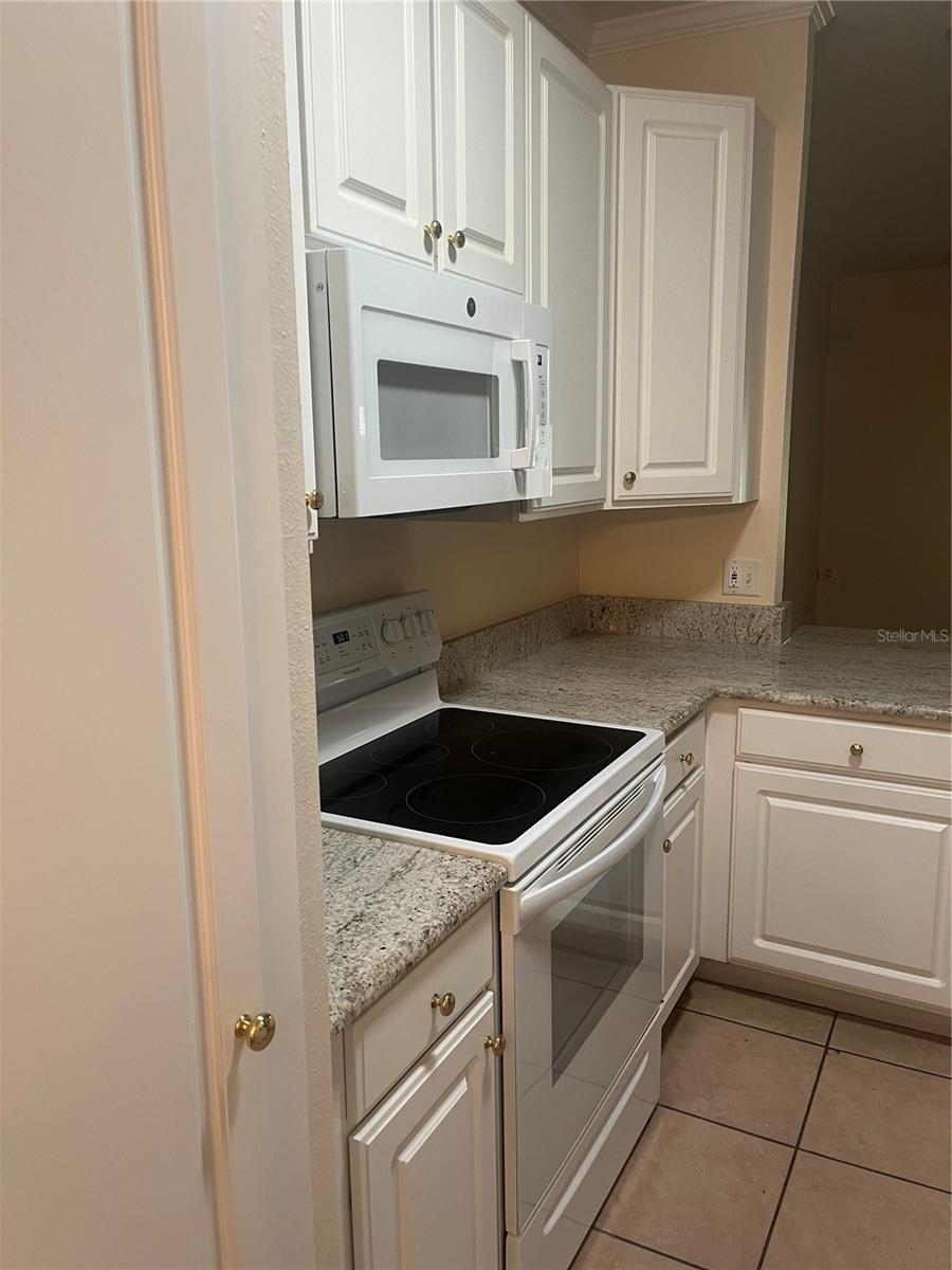 4th image of 8509 Alexandra Arbor Ln, Tampa, FL 33637 | MLS# TB8524413