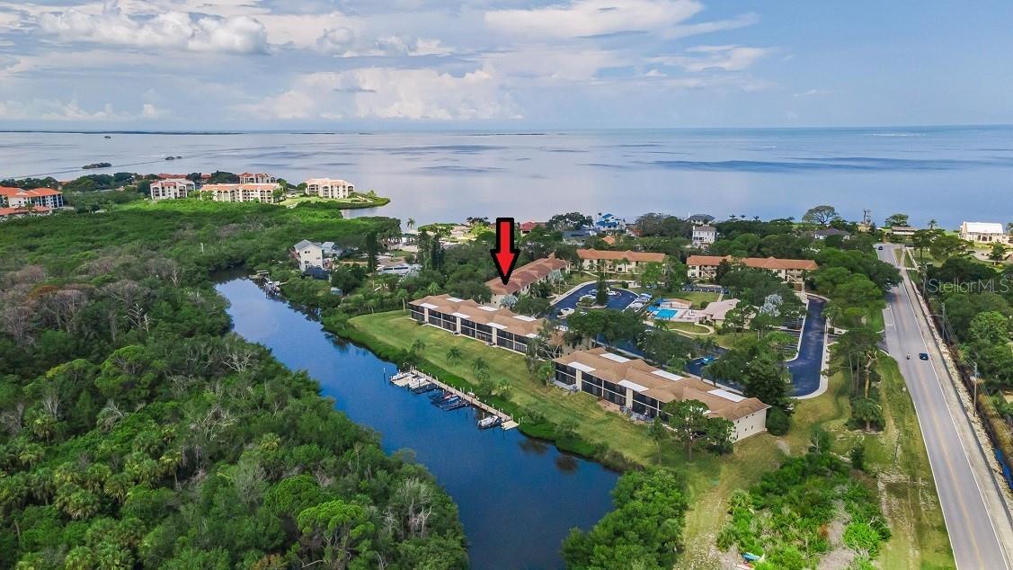 3rd image of 1673 Seascape Cir, Tarpon Springs, FL 34689