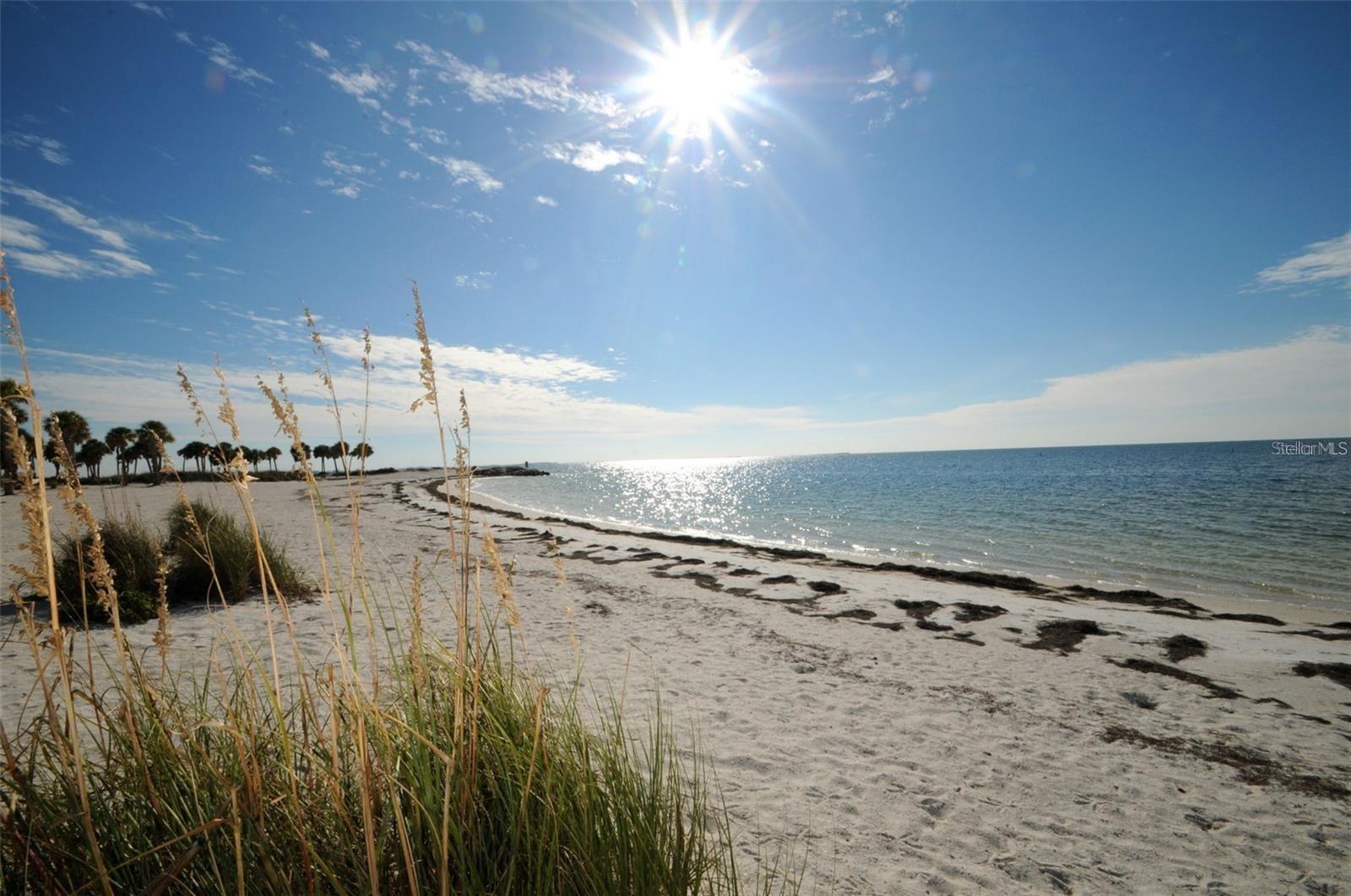 97th image of 1673 Seascape Cir #102, Tarpon Springs, FL 34689 | MLS# TB8524546