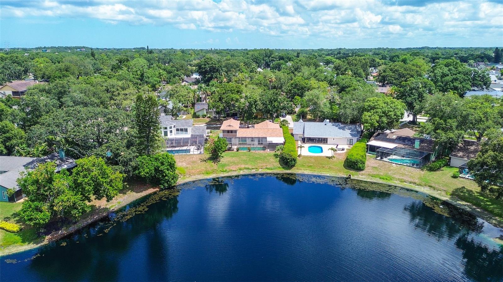 50th image of 2876 Lake Valencia Blvd E, Palm Harbor, FL 34684 | MLS# TB8525279