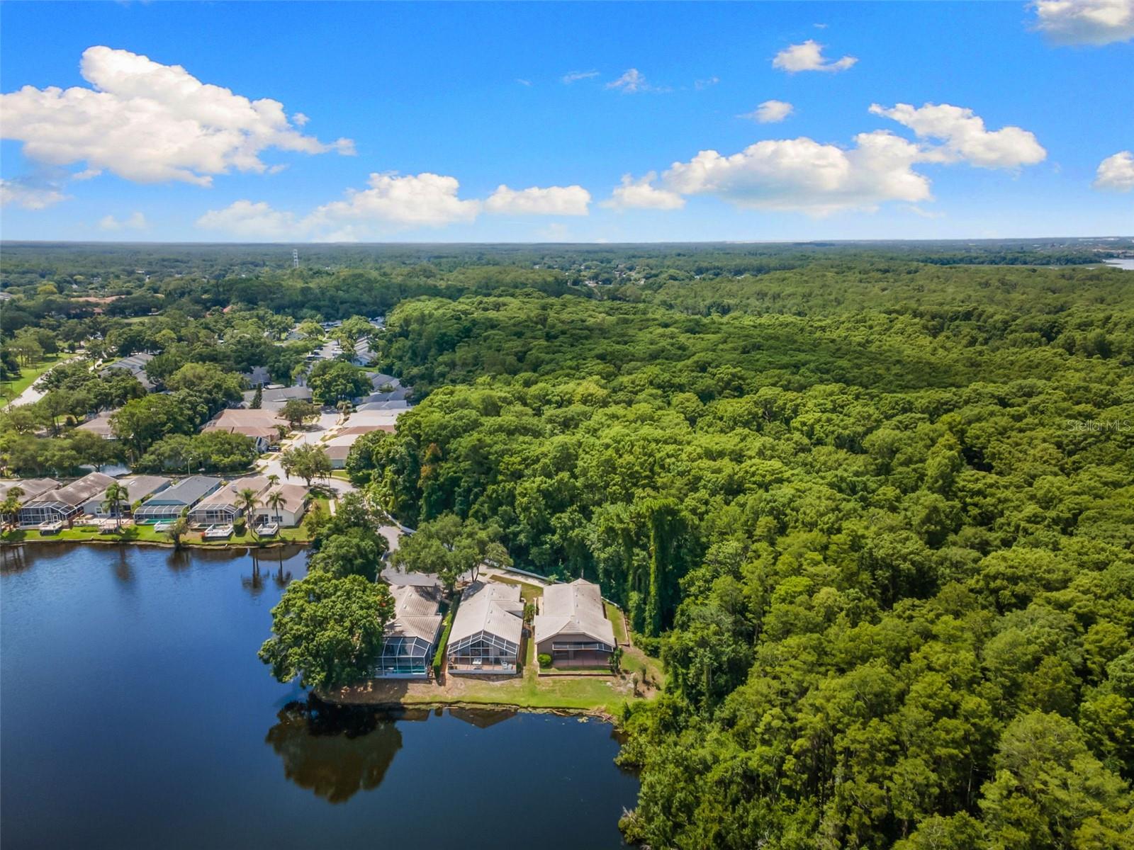 44th image of 4201 Waterscape Dr, Palm Harbor, FL 34685 | MLS# TB8526276