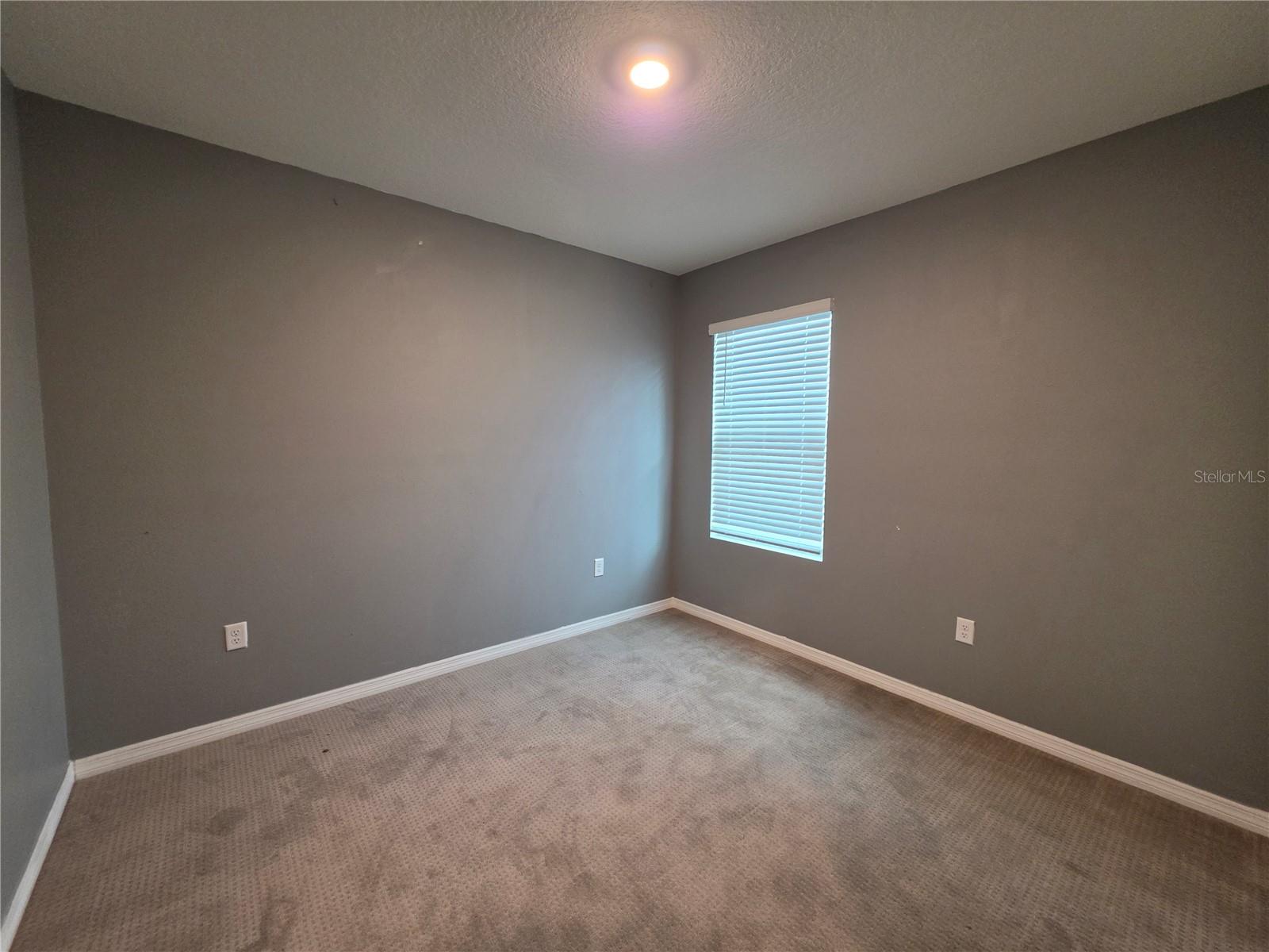 14th image of 17007 Blister Wing Dr, Wimauma, FL 33598 | MLS# A4699201
