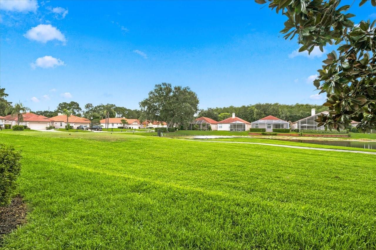 40th image of 1333 Lindenwood Dr, Tarpon Springs, FL 34688 | MLS# TB8526538