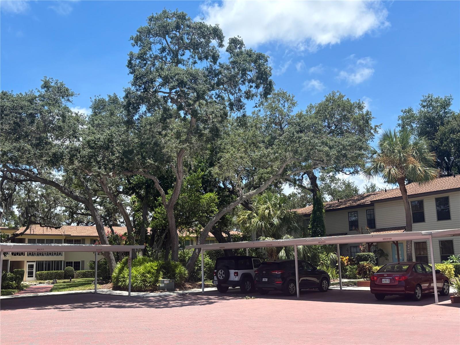 2nd image of 1515 Bayshore Blvd #26, Dunedin, FL 34698 | MLS# TB8526674