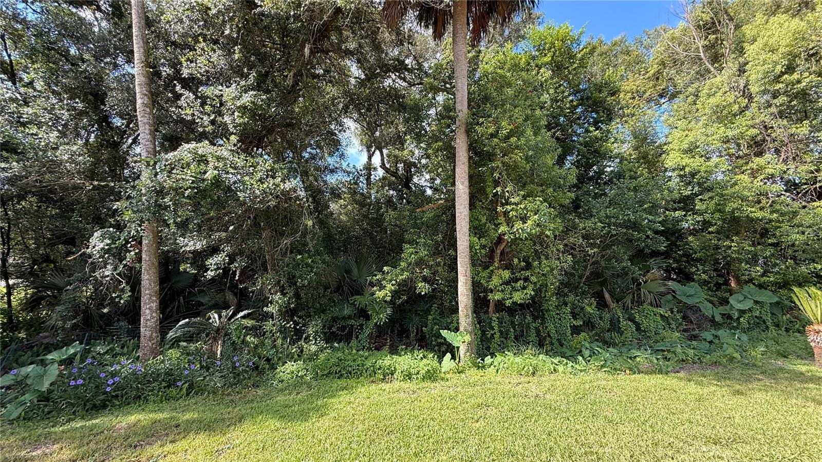 43rd image of 898 Crittenden Ave, Orange City, FL 32763 | MLS# O6423208