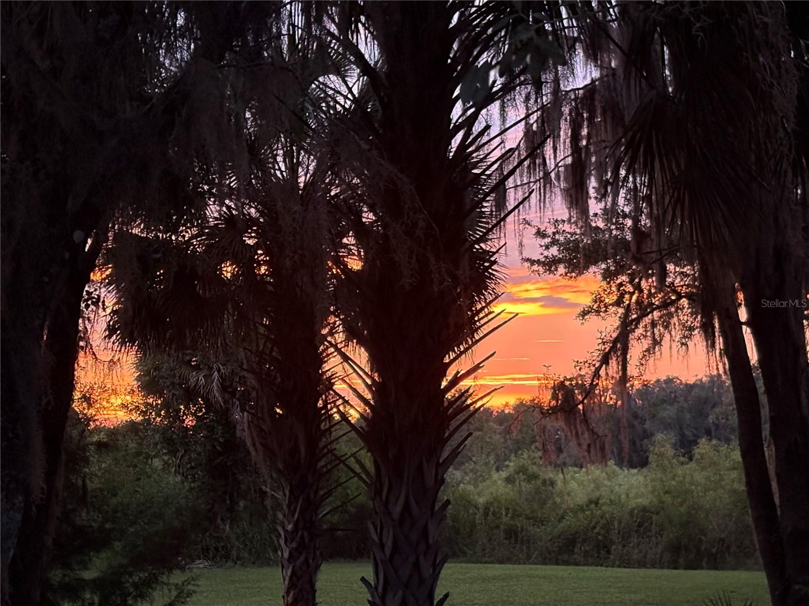 43rd image of 5435 Ne 153rd Pl Rd, Citra, FL 32113 | MLS# OM728077