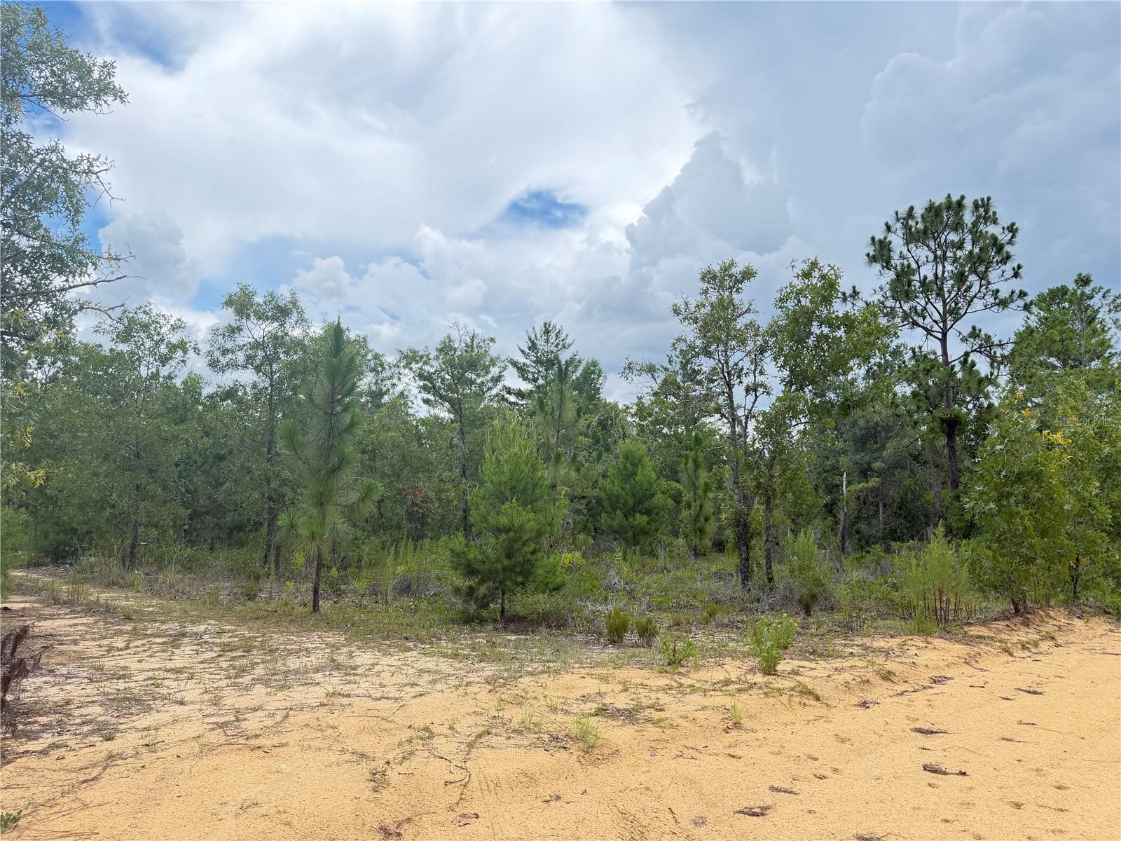 3rd image of 100 Linda Ln, Interlachen, FL 32148 | MLS# O6423422