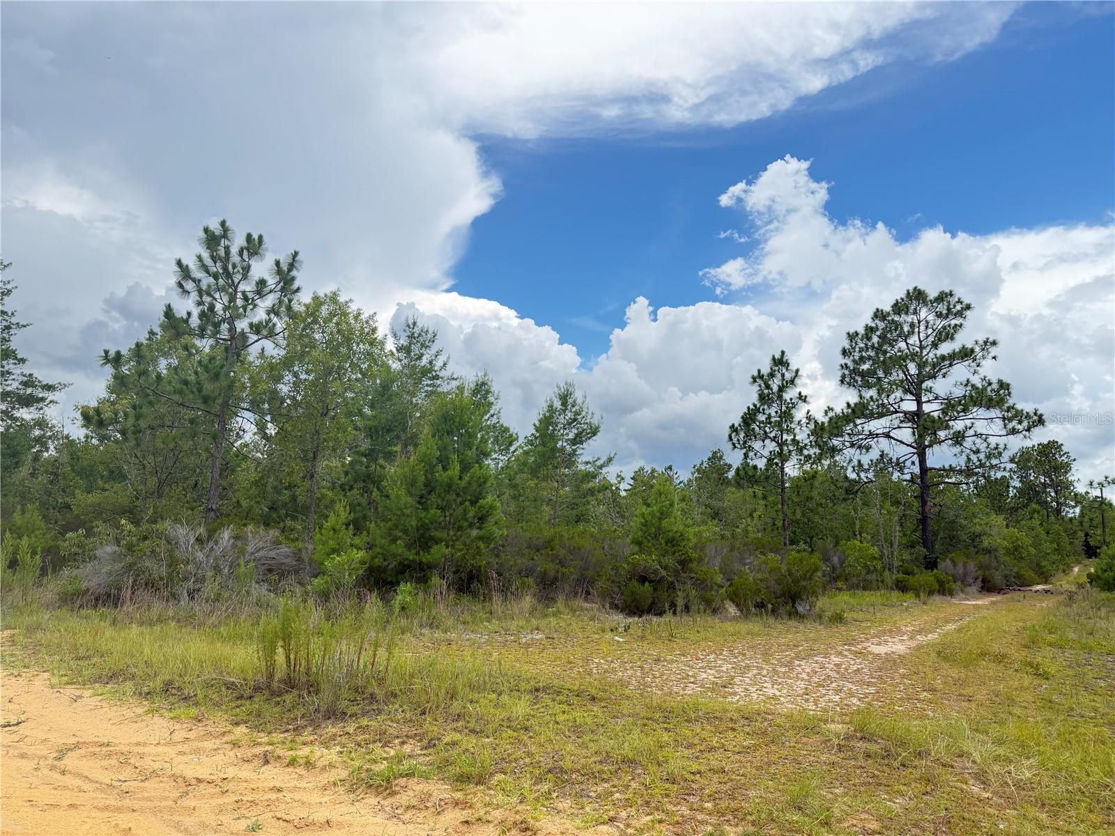 5th image of 100 Linda Ln, Interlachen, FL 32148 | MLS# O6423422
