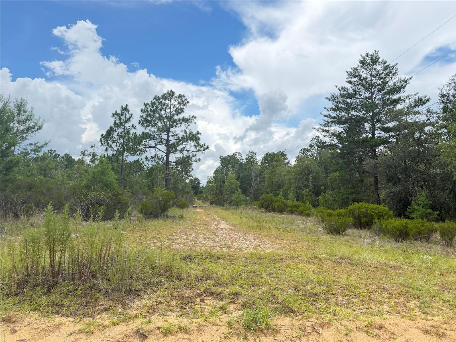 4th image of 100 Linda Ln, Interlachen, FL 32148 | MLS# O6423422