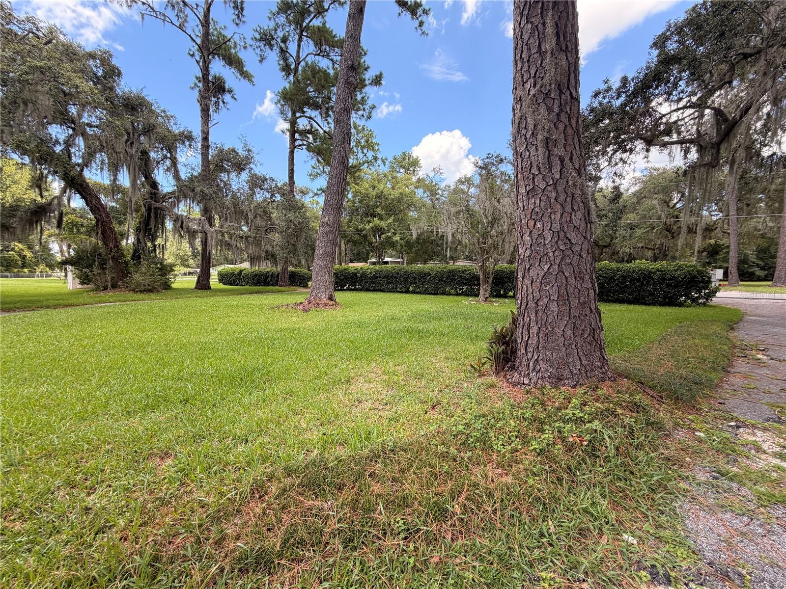 5th image of 1940 Alice Dr, Astor, FL 32102 | MLS# R4911605