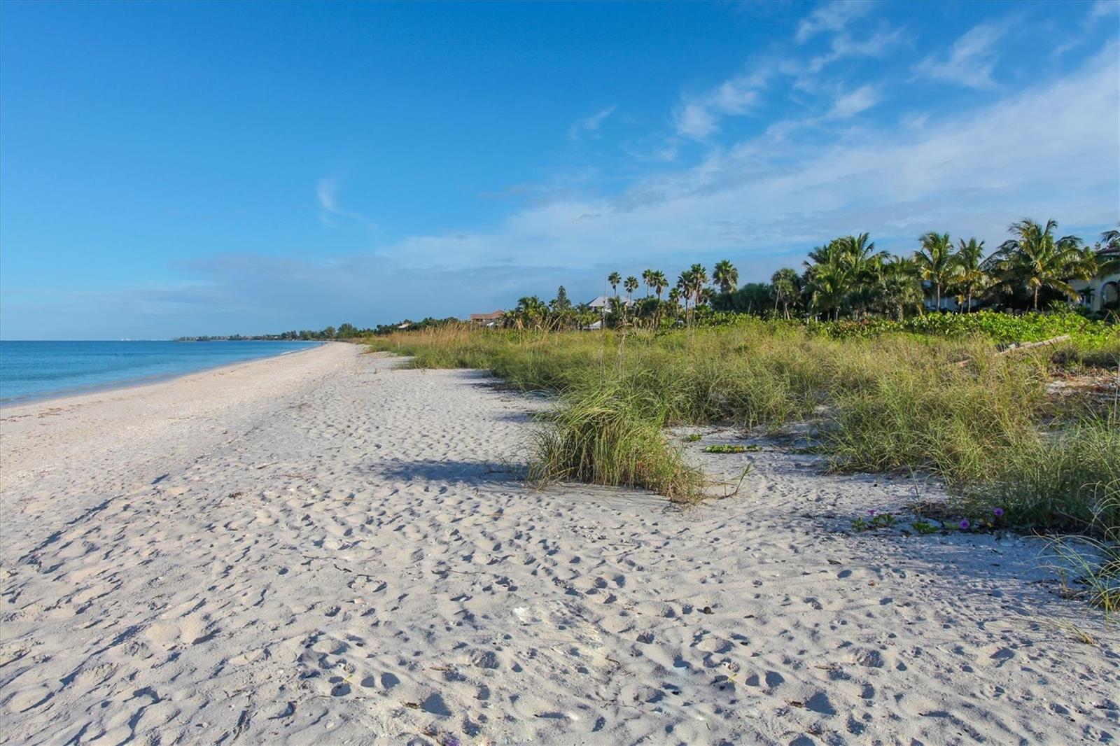 Homes for sale in Osprey, FL | 120 Woodland Pl #120, Osprey, FL 34229 | MLS# D6148025