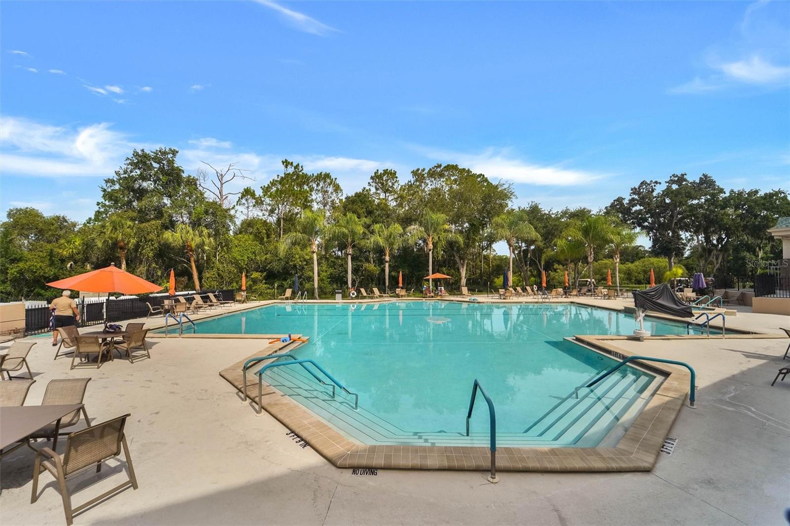 40th image of 6541 Country Ridge Ln, New Port Richey, FL 34655 | MLS# TB8528079