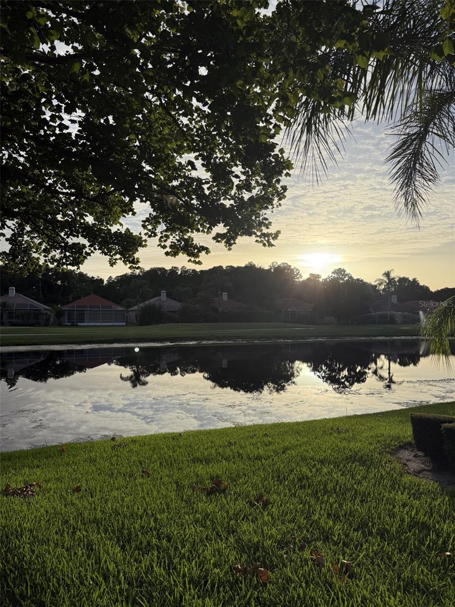 2nd image of 1338 Dartford Dr, Tarpon Springs, FL 34688 | MLS# TB8528232