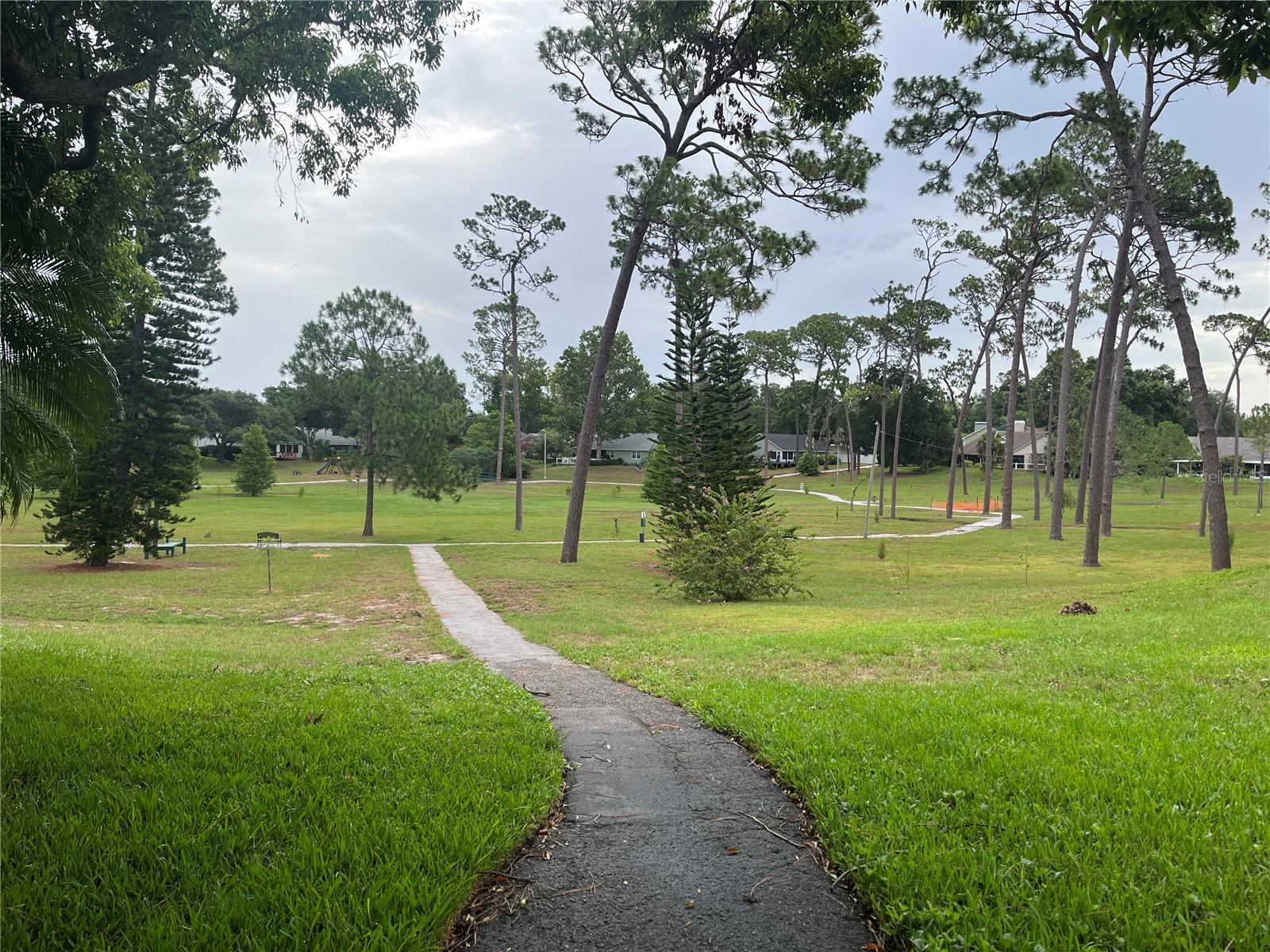 17th image of 2387 Bentley Dr, Palm Harbor, FL 34684 | MLS# TB8528504